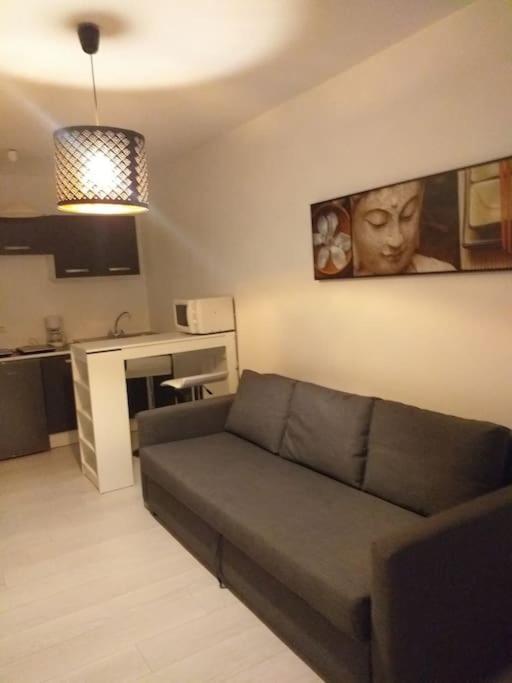 Studio Meuble Wifi A Proximite Du Tram Castelnau-le-Lez Εξωτερικό φωτογραφία