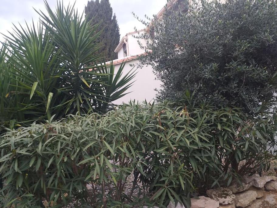 Studio Meuble Wifi A Proximite Du Tram Castelnau-le-Lez Εξωτερικό φωτογραφία